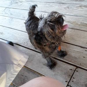 Meet your Posher, Rita